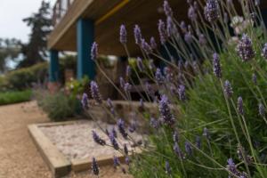 Vrt ispred objekta Cinque Colori Bed & Breakfast- Spa