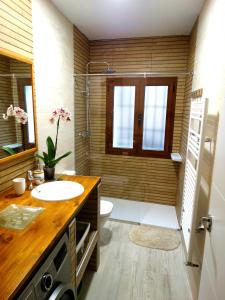 ein Badezimmer mit Waschbecken, Dusche und Toilette in der Unterkunft El Muro de Piedra in Toledo