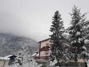 ein schneebedecktes Gebäude neben einigen Bäumen in der Unterkunft Apartamenty Skalite Szczyrk Wellness in Szczyrk