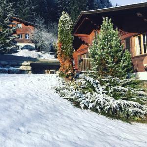 Chalet Solaria 2 bedrooms with mountain and garden view talvel