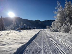 Domek Góralski Chata u Słodkiego Zakopane v zime