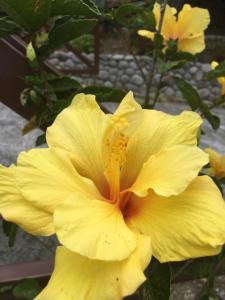 Fotografie z fotogalerie ubytování Finca Caramelo v destinaci Boquete
