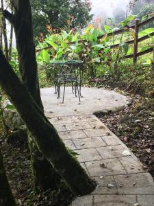 Zahrada ubytování Finca Caramelo