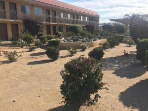 un jardín frente a un edificio con arbustos en Budget Lodge San Bernardino, en San Bernardino