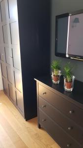 two potted plants on a dresser in a bedroom at B&B Vicolo dei Sartori in Salerno