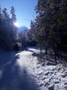 Príroda v okolí horskej chaty