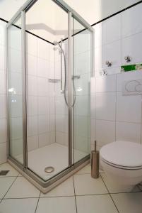 a glass shower in a bathroom with a toilet at Hotel Restaurant Zunftstube in Saarburg
