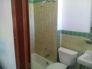 a bathroom with a toilet and a shower and a sink at Mountaineer Motel in Mount Storm