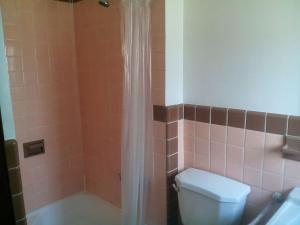a bathroom with a shower with a toilet and a sink at Mountaineer Motel in Mount Storm