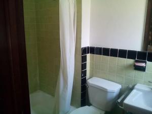 a bathroom with a toilet and a shower and a sink at Mountaineer Motel in Mount Storm