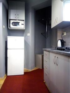 een keuken met een witte koelkast en een magnetron bij Near Rynok Square in Lviv