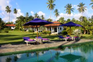 un resort con sedie viola e ombrelloni accanto a una piscina di Villa Don Hendrick (Adult Only) a Tangalle