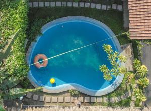 an overhead view of a pool with a ball and a paddler at Losmanos Hostel in Yogyakarta