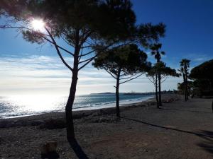 Plage de l'appartement ou située à proximité