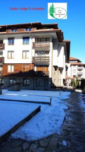 a building with snow in front of it at Pine Tree Apartment 2 - B7 in Bansko