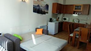a small living room with a couch and a kitchen at Pine Tree Apartment 2 - B7 in Bansko