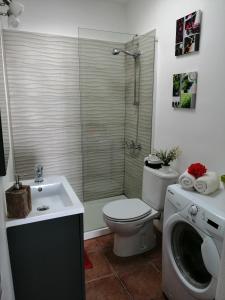 a bathroom with a shower and a toilet and a washing machine at Ayla 2 in Playa Quemada