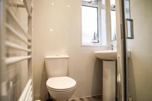 ein Badezimmer mit Toilette und Waschbecken und einem Fenster in der Unterkunft Baron View Apartment in Paisley