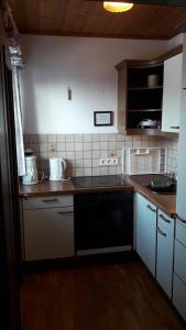 Kuchyň nebo kuchyňský kout v ubytování Pension Mozart