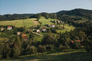 Ptičja perspektiva nastanitve Pasieka - Dom Wypoczynkowy