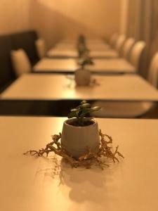 a row of tables with a cactus on the table at Hostal Central Barcelona in Barcelona