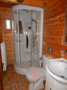 a bathroom with a shower and a toilet and a sink at Mountain Ηouse in Arcadia in Vytina