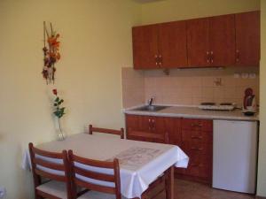Nemyčeves的住宿－捷克天堂別墅山林小屋，厨房配有桌子、水槽和冰箱