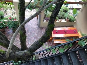 Stellenbosch的住宿－10號亞歷山大住宿加早餐旅館，树旁有野餐桌的树