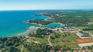 z powietrza widok na małą wyspę w oceanie w obiekcie Apartment Narcisa with Terrace w mieście Umag