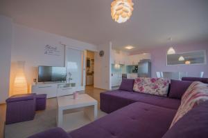 TV a/nebo společenská místnost v ubytování Apartment Petra