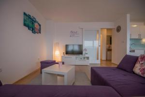 TV a/nebo společenská místnost v ubytování Apartment Petra