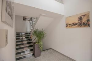Fotografie z fotogalerie ubytování Apartment Petra v destinaci Imotski