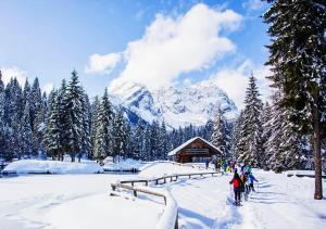 un grupo de personas caminando en la nieve frente a una cabaña en Haus Martina, en Sappada