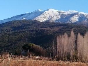 Afbeelding uit fotogalerij van Casa Montseny con piscina,bosque in Sant Pere de Vilamajor