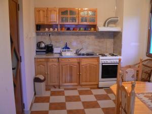 Kuchyň nebo kuchyňský kout v ubytování Sirius Guest House
