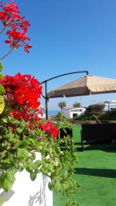 A garden outside white house by the sea