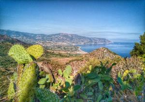 a cactus on the side of a mountain with the ocean at Baia Dei Delfini in Furnari