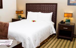聖何塞的住宿－Rincon del Valle Hotel & Suites，酒店客房设有一张大床和两盏灯。