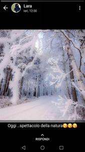 サッパーダにあるAppartamenti Annaritaの雪に覆われた森の写真
