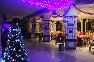 a christmas tree in the middle of a room at Gaddis Hotel, Suites and Apartments in Luxor