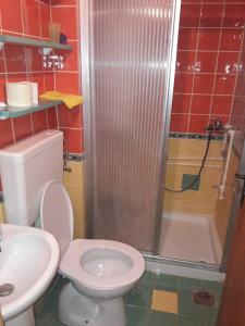 a bathroom with a toilet and a shower and a sink at Apartmani Etno in Jahorina +17 photos