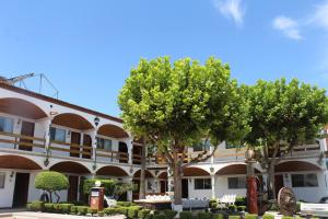 奇瓦瓦的住宿－國家酒店，前面有两棵树的建筑