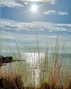 Galería fotográfica de Wagtail Lodge en Stonehaven