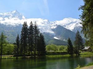 a body of water with snow capped mountains in the background at Spacious Apartment 2 Minutes from Ski Lift, Equipped for Babies in Les Houches