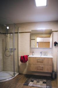 a bathroom with a shower and a sink and a mirror at Prünsterhof in Obertilliach +66 photos