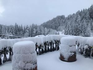 La Chanterelle - Mountain Lodge v zimě