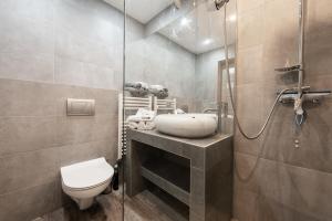 ザブジェにあるStudio Silesian Vipのバスルーム(トイレ、洗面台、シャワー付)