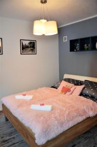 Posteľ alebo postele v izbe v ubytovaní Apartament przy Źródełku