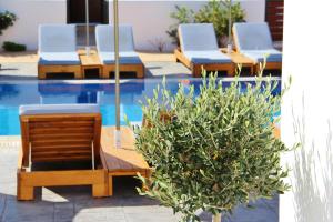 two chairs and a plant next to a swimming pool at Ifestos Villa in Fira