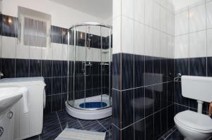 a bathroom with a shower with a toilet and a sink at Apartment Milan in Senj +24 photos